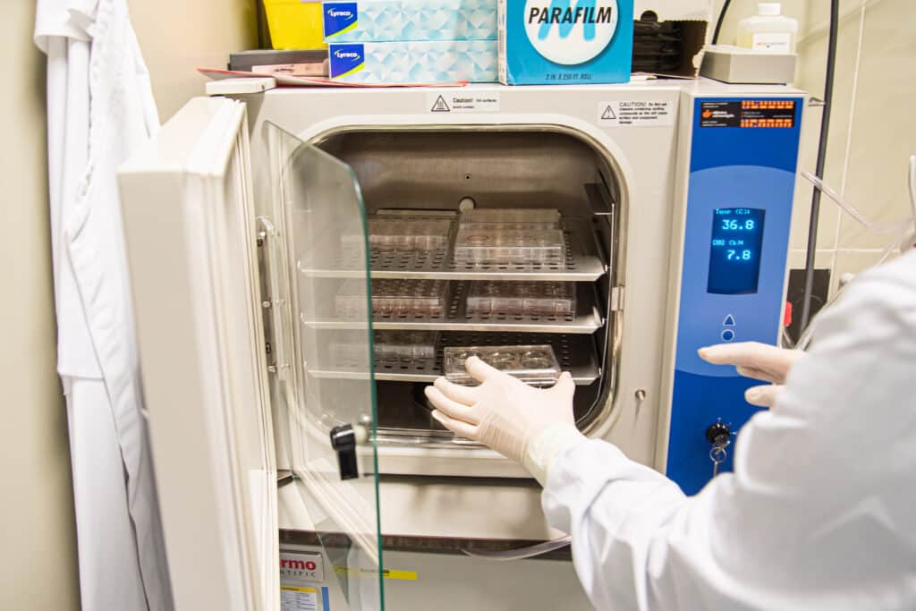 stamcellen kweken in lab