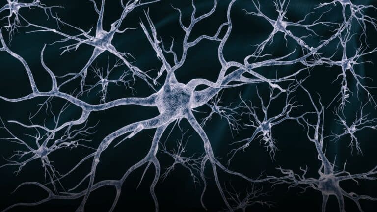 Neural cells network on a dark background